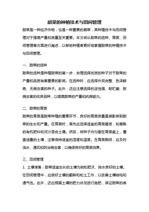 甜菜的种植技术与田间管理