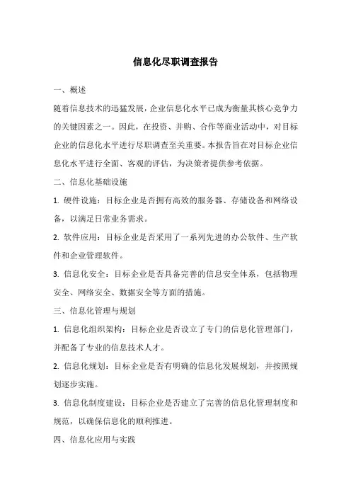 信息化尽职调查报告