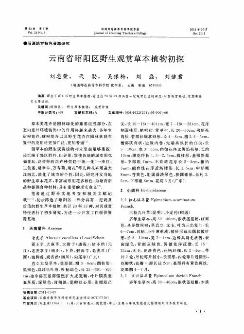 云南省昭阳区野生观赏草本植物初探