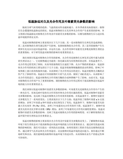 低温胁迫对白及光合作用及叶绿素荧光参数的影响