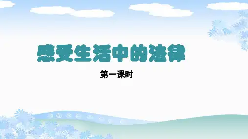 部编版六年级道德与法治上册《感受生活中的法律第一课时》PPT