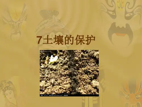 三年级上册科学课件-7《土壤的保护》 ｜冀教版               (共17张PPT)