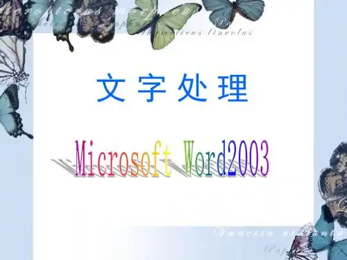 Word操作中的文字处理方法[38张PPT]