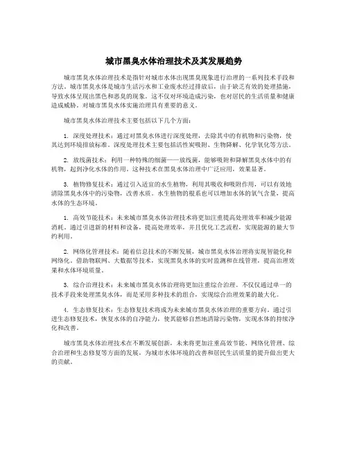 城市黑臭水体治理技术及其发展趋势