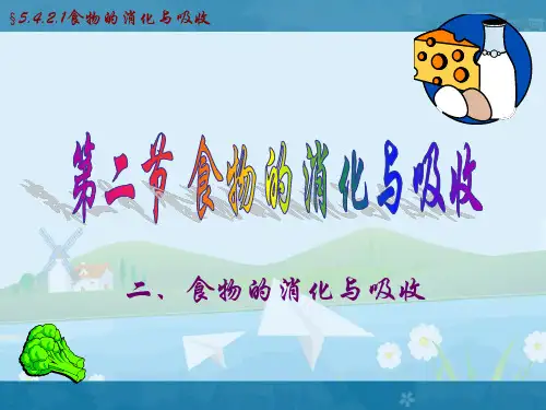 食物的消化与吸收 PPT课件