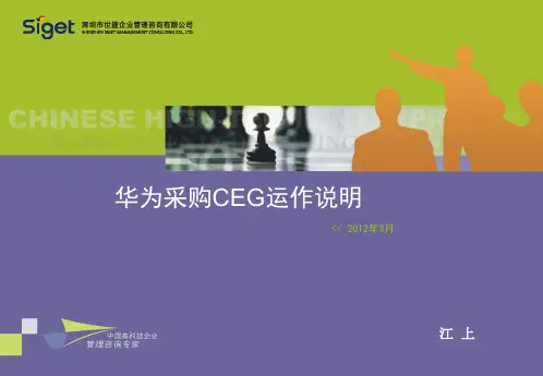 华为CEG定位说明PPT课件