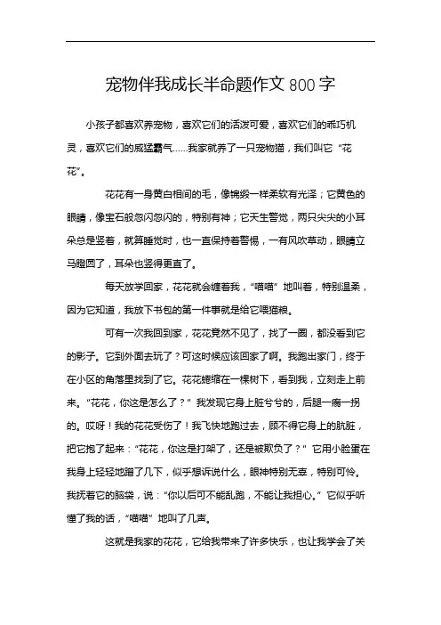 宠物伴我成长半命题作文800字