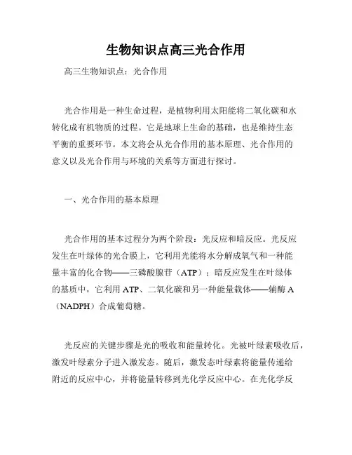 生物知识点高三光合作用
