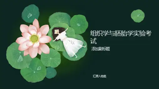 组织学与胚胎学实验考试切片光镜