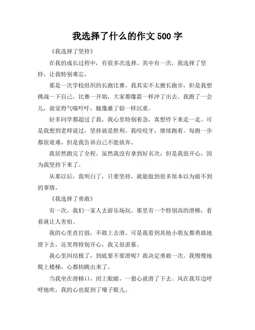 我选择了什么的作文500字