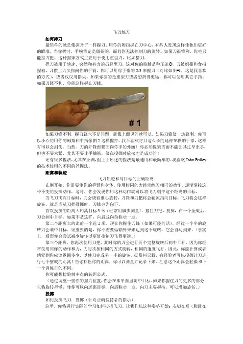 飞刀练习翻译
