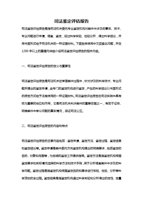 司法鉴定评估报告