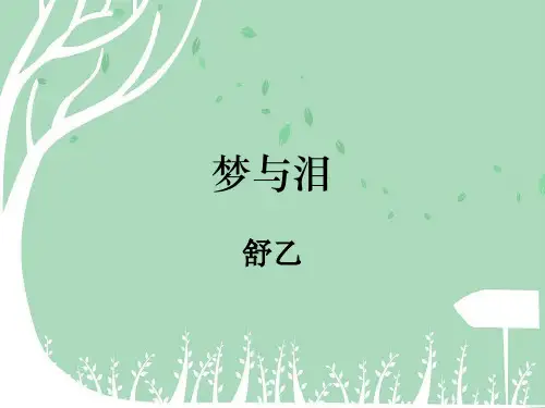 梦与泪
