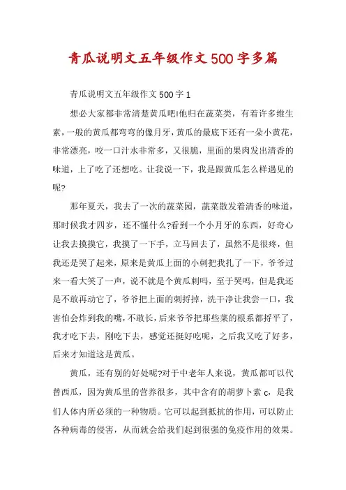 青瓜说明文五年级作文500字多篇