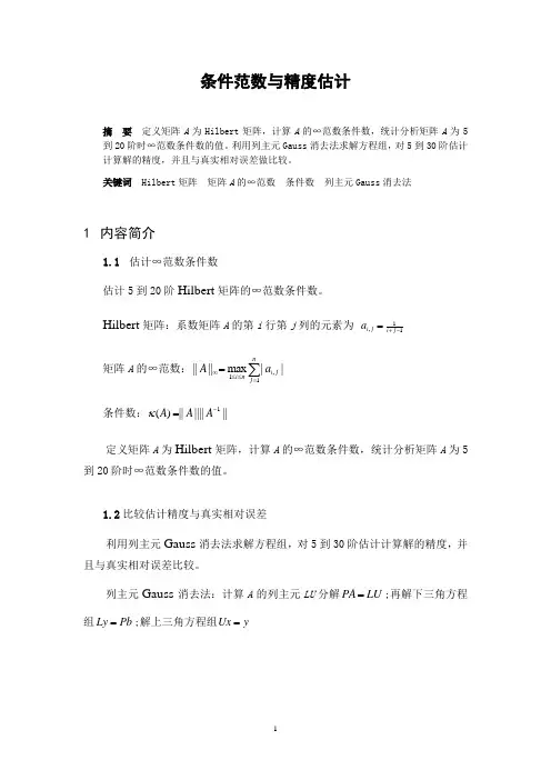 条件范数与精度估计