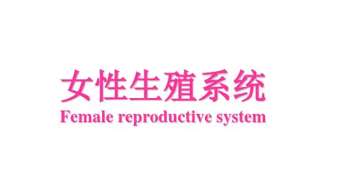 医学院女性生殖系统讲解课件