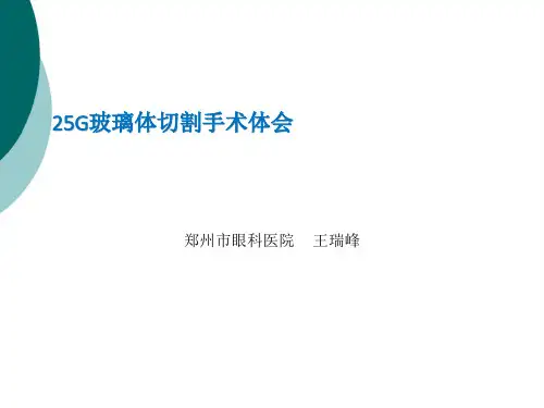 25G玻璃体切割手术体会