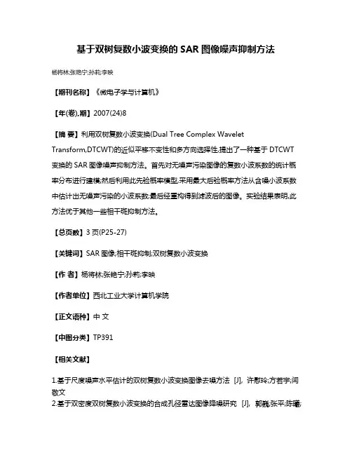 基于双树复数小波变换的SAR图像噪声抑制方法