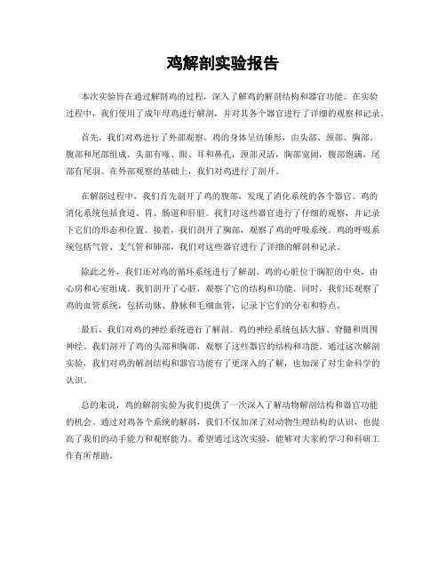 鸡解剖实验报告