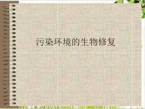 污染环境的生物修复PPT.