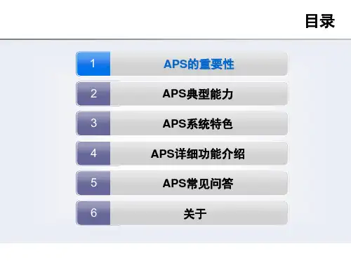 APS基础介绍