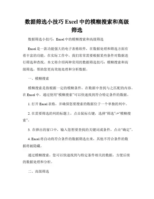 数据筛选小技巧Excel中的模糊搜索和高级筛选