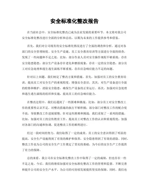安全标准化整改报告