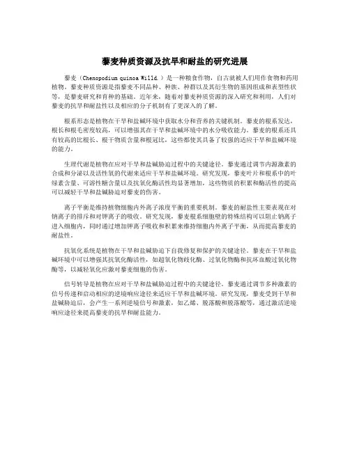 藜麦种质资源及抗旱和耐盐的研究进展