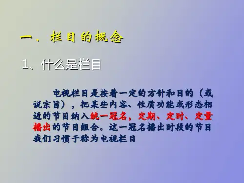 电视栏目概论