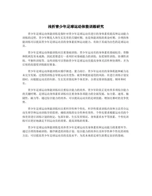 浅析青少年足球运动体能训练研究