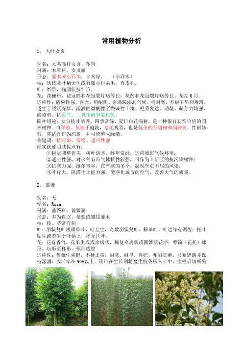 校园常用景观植物分析