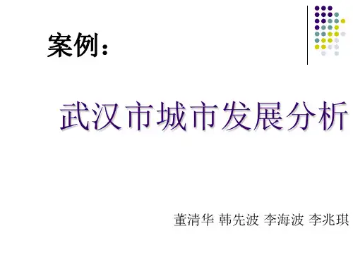 城市经济学案例
