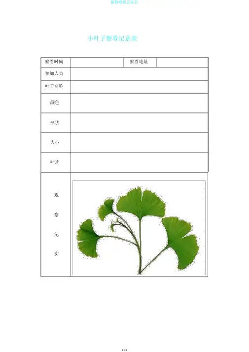 植物观察记录表