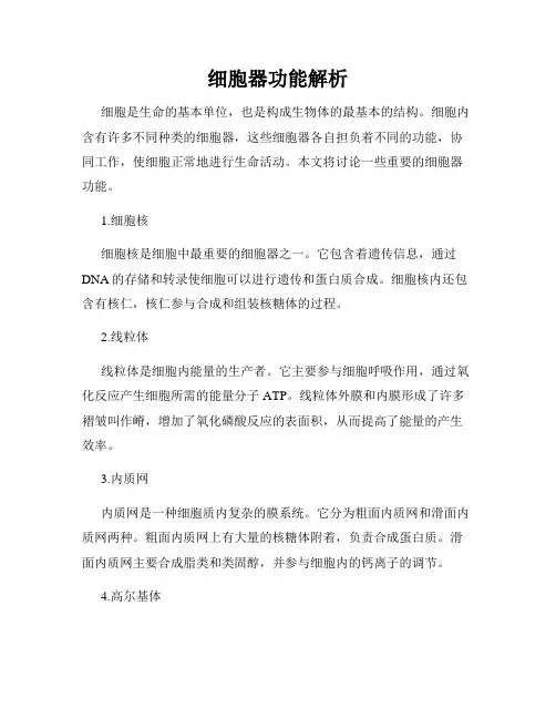 细胞器功能解析