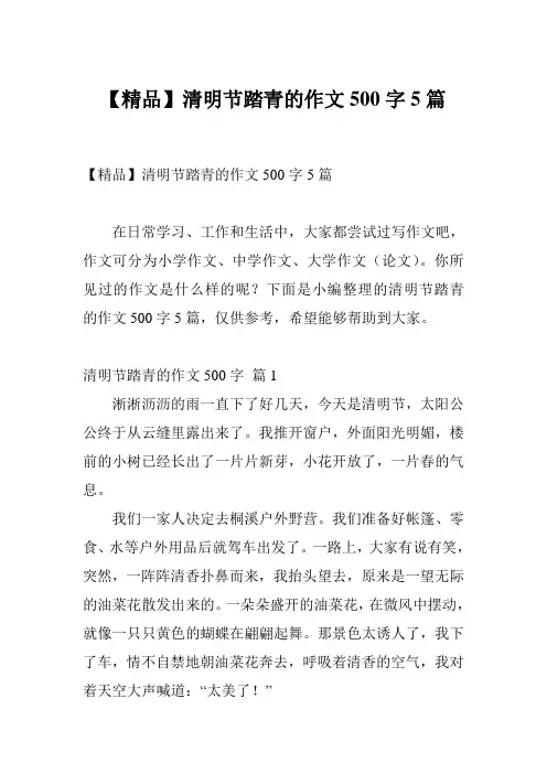 【精品】清明节踏青的作文500字5篇