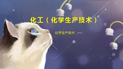 化工(化学生产技术)