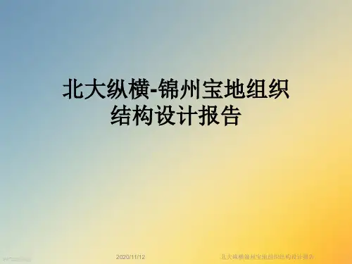 北大纵横锦州宝地组织结构设计报告