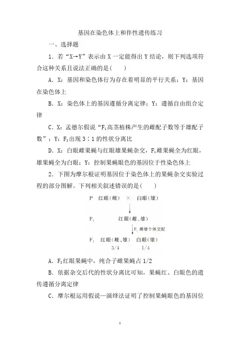 高中生物一轮复习练习：基因在染色体上和伴性遗传