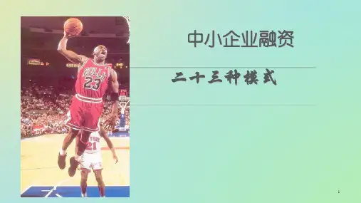 企业融资的23种方式ppt课件