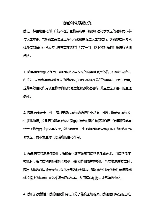 酶的性质概念