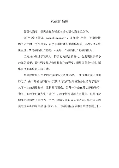 总磁化强度