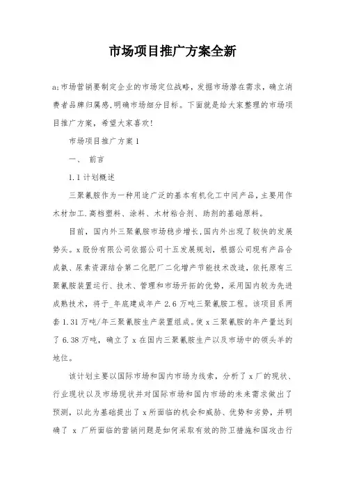 市场项目推广方案全新