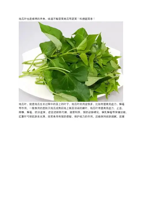 地瓜叶也是难得的美食,味道不输菠菜南瓜等蔬菜!料理超简单!