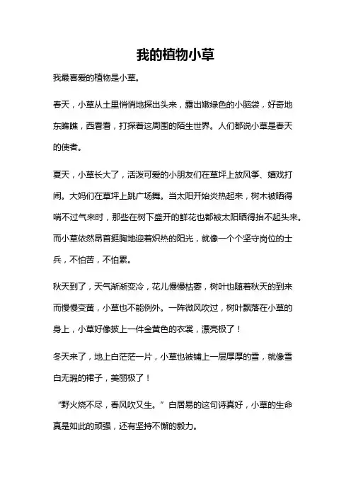 我的植物小草300字作文三年级下册语文