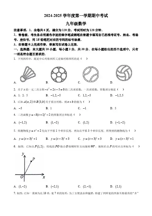广东省韶关市翁源县2024-2025学年九年级上学期11月期中考试数学试题(含答案)