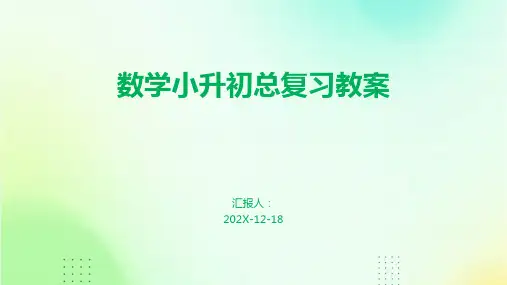 数学小升初总复习教案