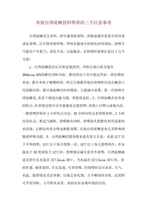 养殖台湾泥鳅投料喂养的三个注意事项