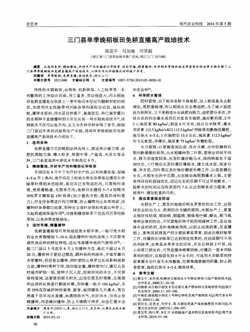 三门县单季晚稻板田免耕直播高产栽培技术