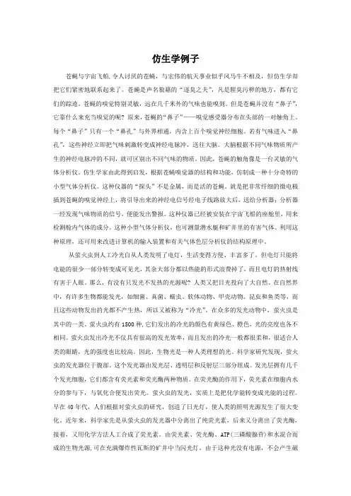 仿生学例子