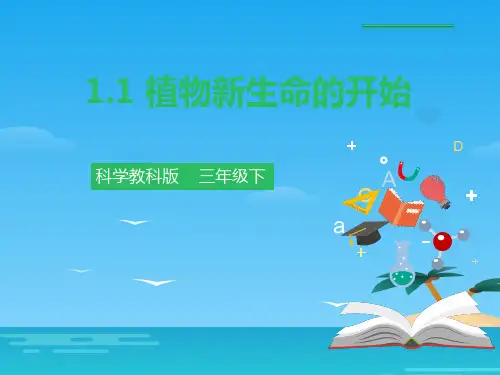 《植物新生命的开始》植物的生长变化PPT下载[优秀课件资料]